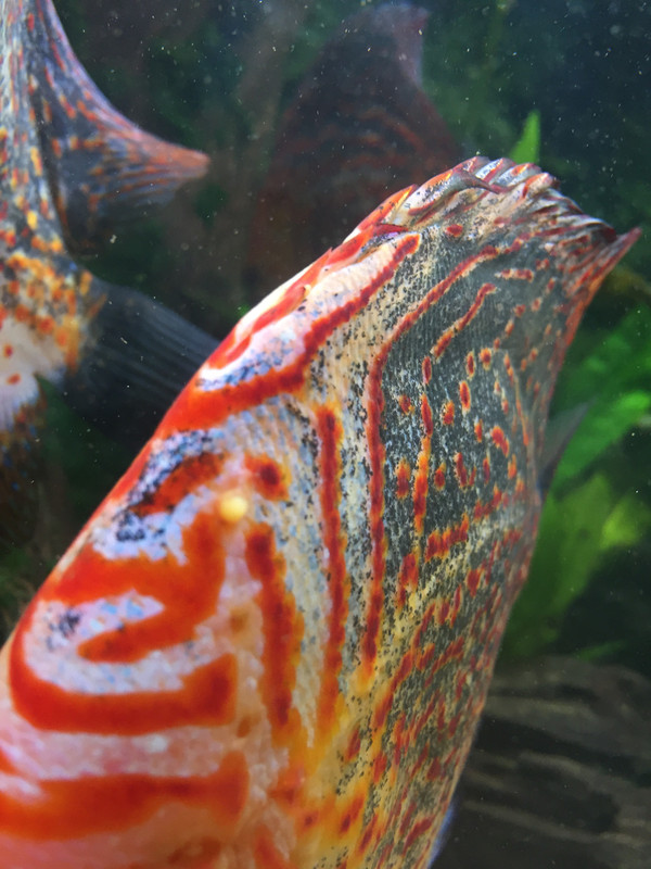 7726A2B5-37A0-45FA-A845-7B1E54760945