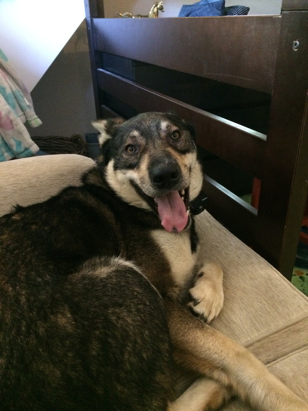 3E70DCA4-E639-4044-A50E-6ADA69F12A5D