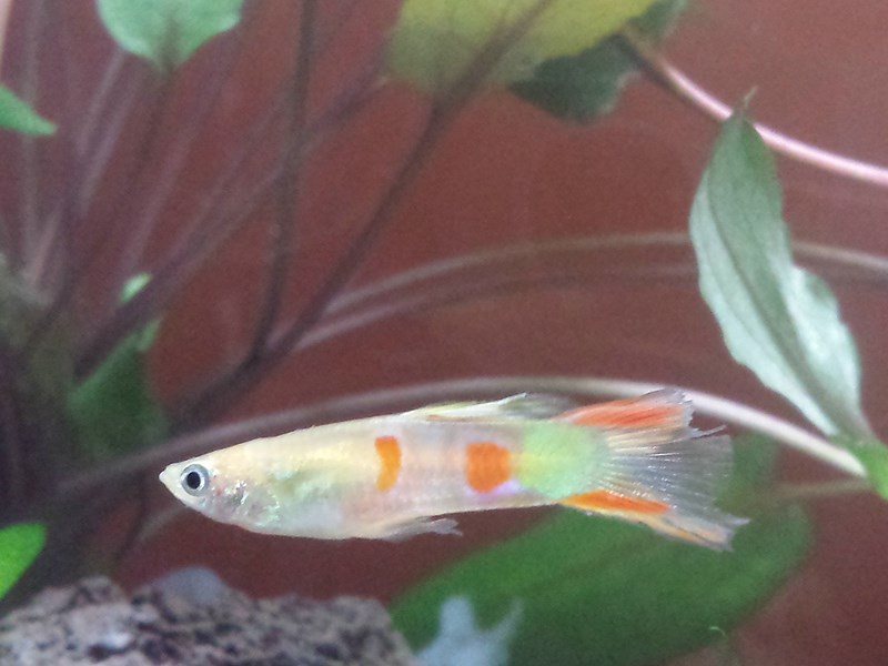 20130917_152512 (Copia)