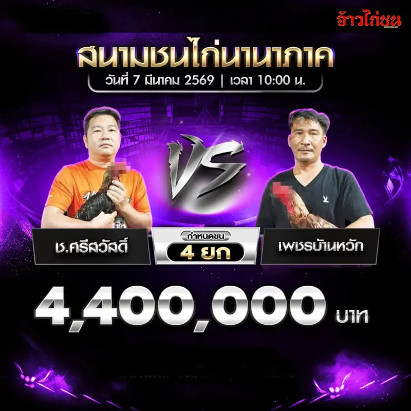 โปรแกรมไก่ชน คู่ ช.ศรีสวัสดิ์ พบ เพชรบัานหวัก สนามชนไก่นานาภาค 7 มีนาคม 2569