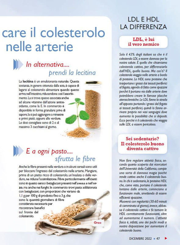 Sal Nat Dic 2022 (8)