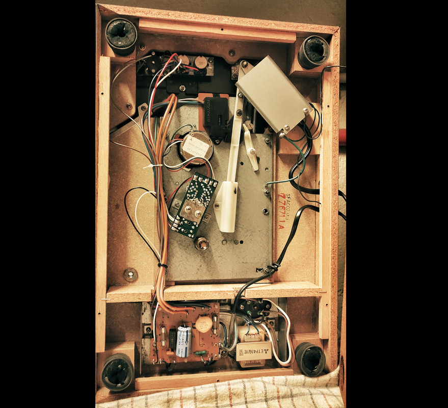 IMG_20220716_151134555-01