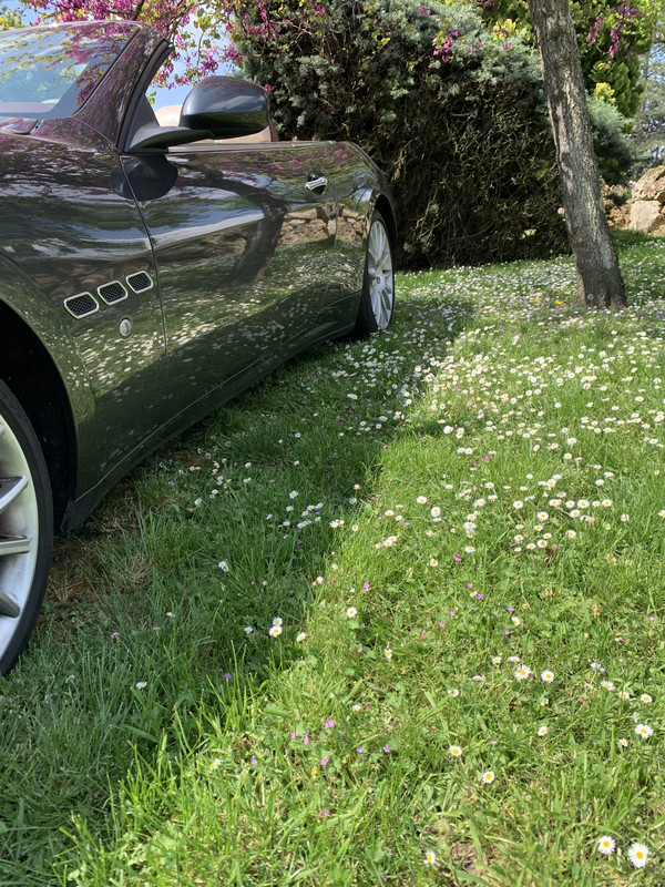 A65A593C-7026-4372-B46C-3FCD2FCA7E9F