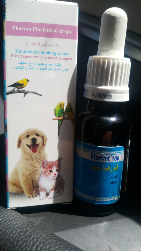 ٢?١٨?٤١٧_١١٢٣٤٨
