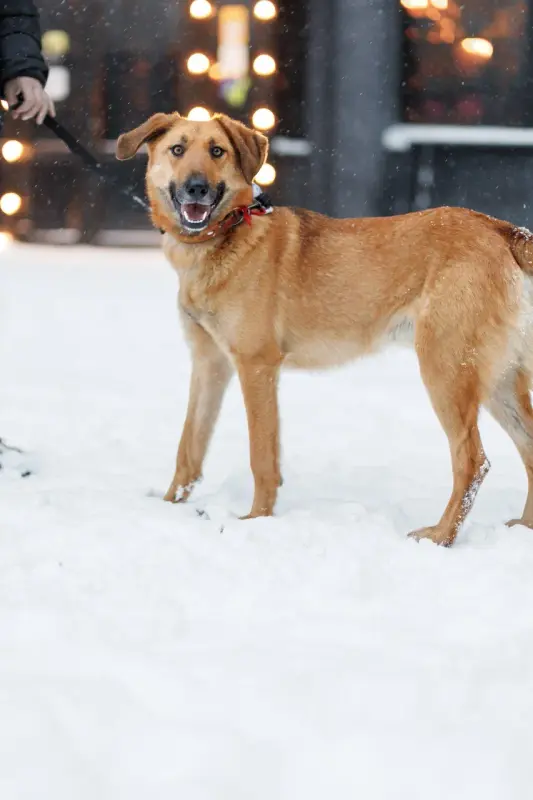 NyaZzcC83bmkKCGELCLlV60UqxFsLpcuS_3I0PS8ec1TEA03qzsNKnS6gbuxqo3D-k760fHb4YcUhee_CdpuOg==?uid=0&filen