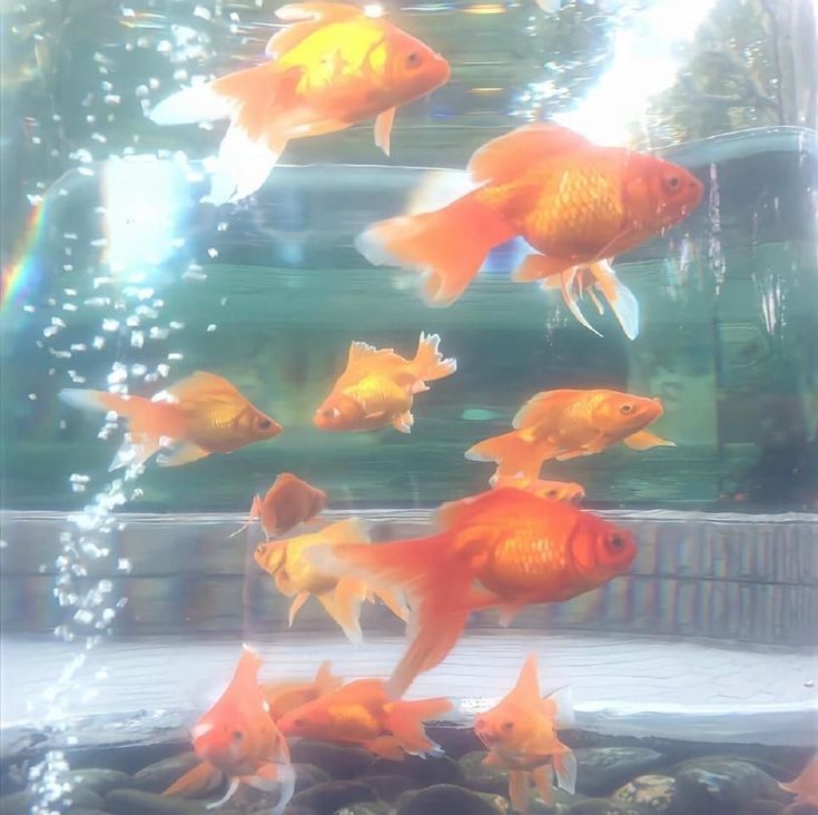 ᵣₑₚₒₛₜ 💦