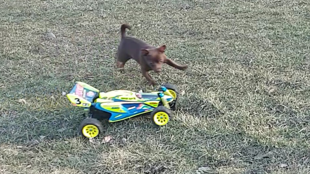 Screenshot-20220418-014525-Video-Player.