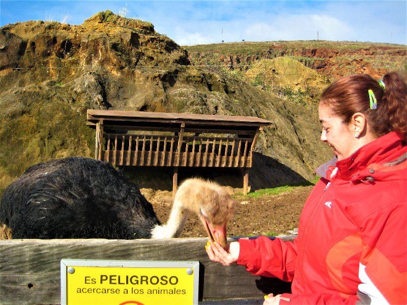 PARQUE NATURAL DE CABÁRCENO-2-2-2011-CANTABRIA - Paseando por España-1991/2024 (18)