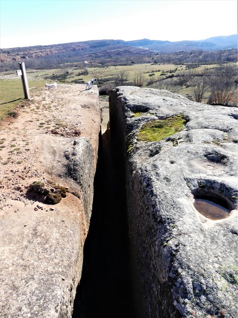 YACIMIENTO ARQUEOLOGICO DE TIERMES-16-2-2020 - Soria y sus pueblos-2010/2013/2020 (77)
