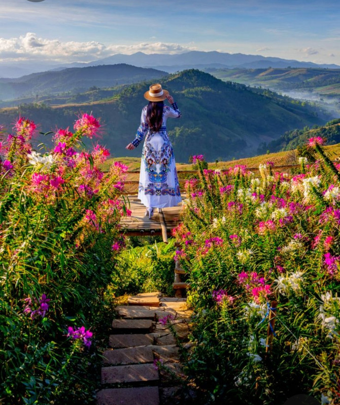 Screenshot_20230322_232007_Pinterest