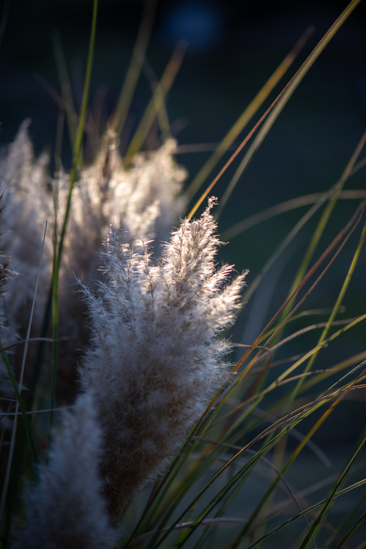 IMG-430254b69c9b379f19c62e2bdff4ca8f-V