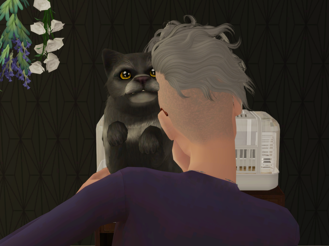 Sims2-EP9-RPC-2022-10-25-22-35-36-99