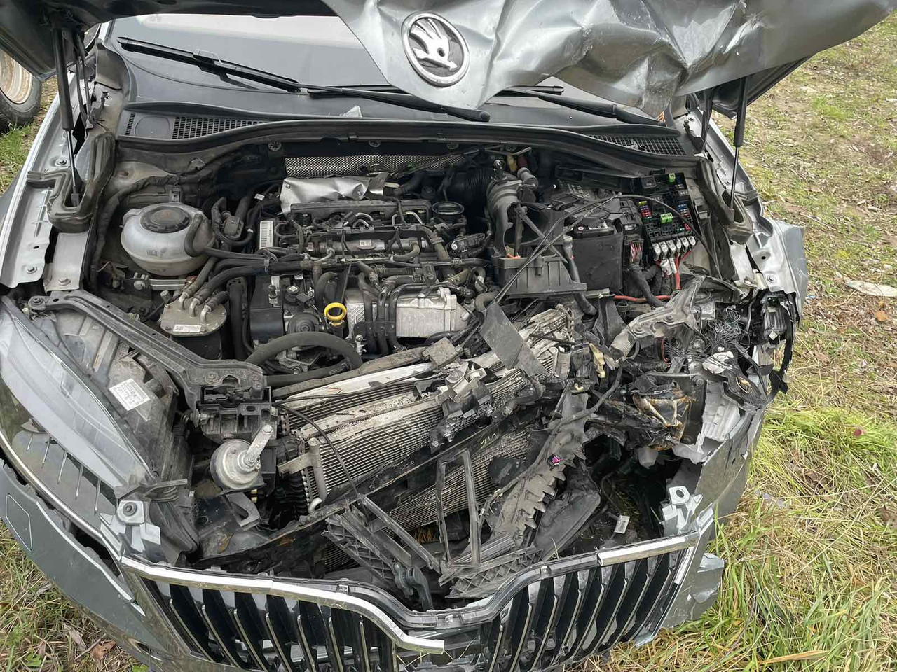 viber image 2026 01 27 18 01 14 011