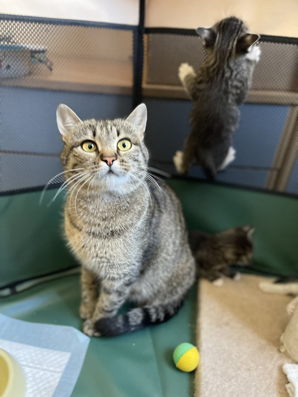 3385F004-D690-402C-840A-62FFCE37C950