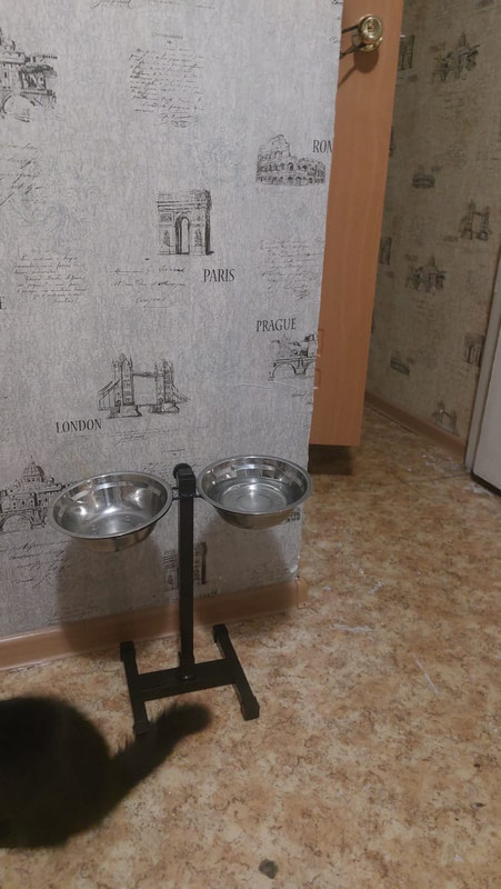 84068416-CDD2-439B-8AC6-F8BE39E74BB2