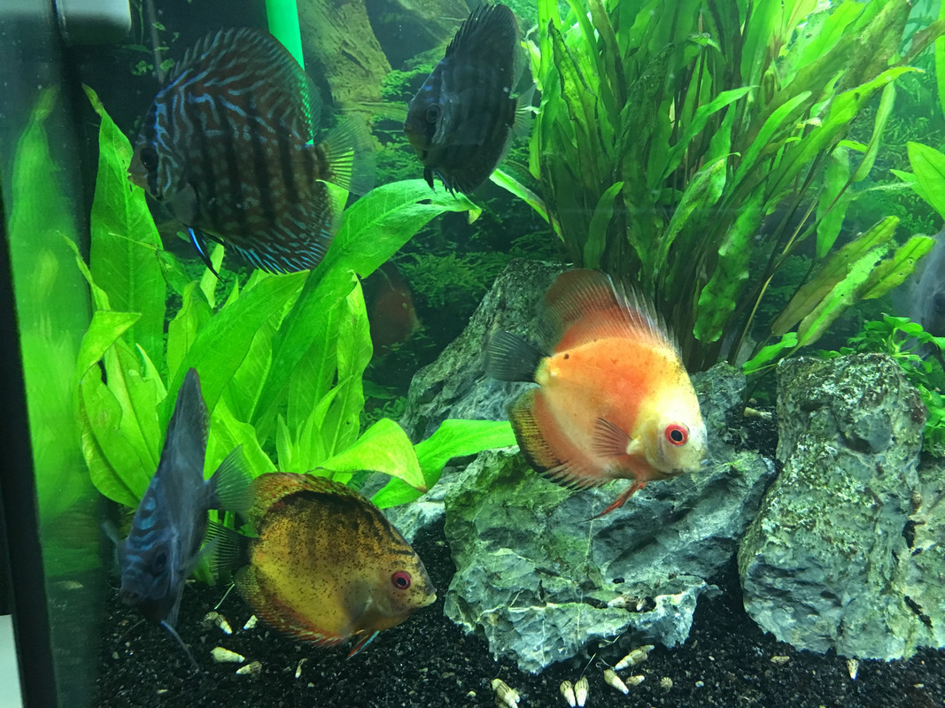 85F1BC3F-1F00-4F4C-A79C-19C9CAD23E0F