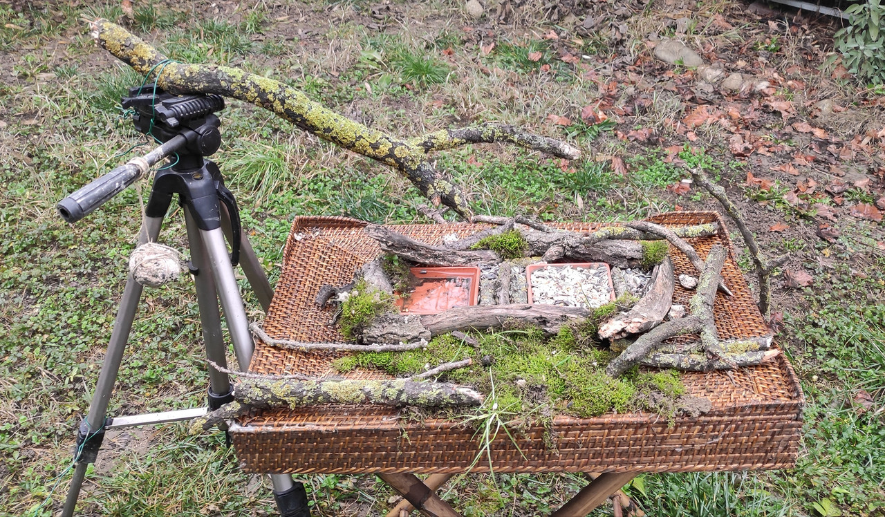 7154B7D8-B730-4092-A502-4725252C42DC