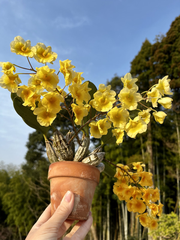 27642E55-39F9-4DDF-A942-32C1D7980000