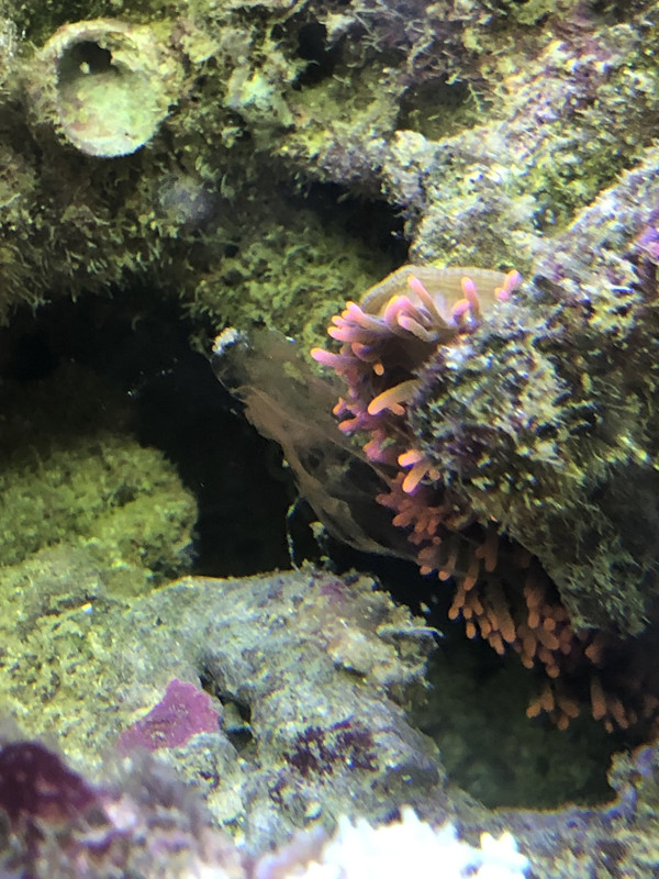 94F43353-F99F-4FD8-9E1A-A957C5CBD28A