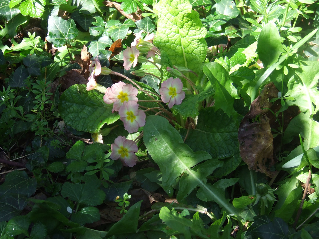 spring-013.jpg