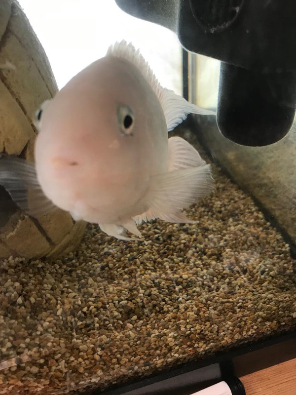 E1963F22-EE36-4AD1-8517-1397B7AE7C38