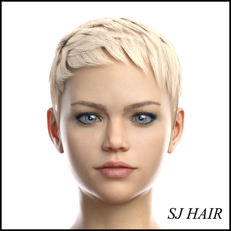 SJ Hair for Genesis 8 Female