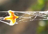 [Image: 20181014-104337.jpg]