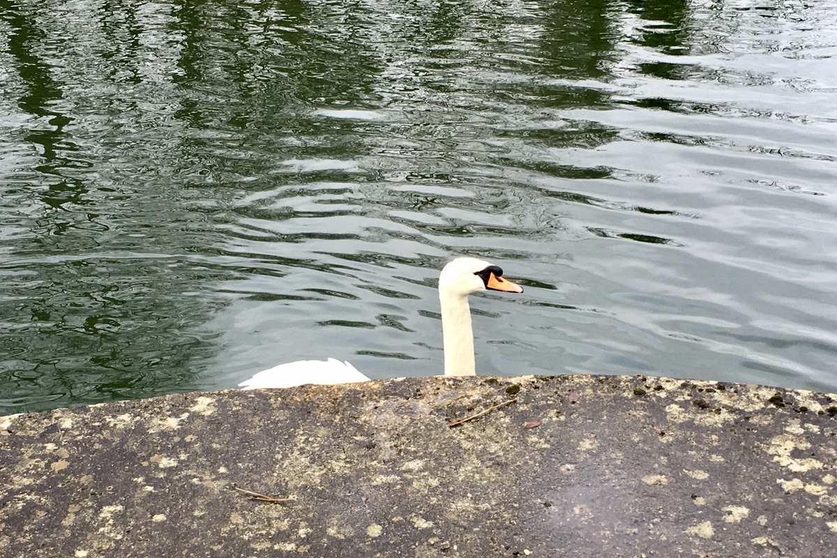 359F13AF-0818-4127-B865-2B9B2FAB543F