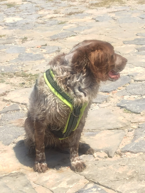 A30E0EB1-6F2F-48F2-B188-36199034937C