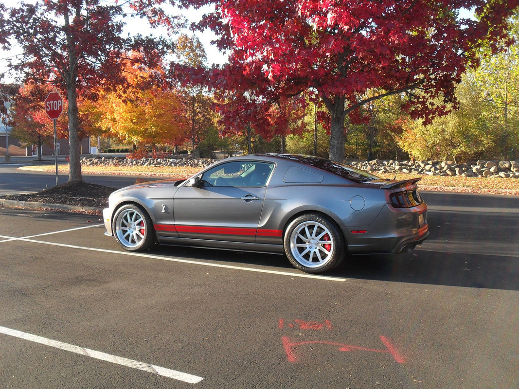 X-S/F Fall pic run - 2 038