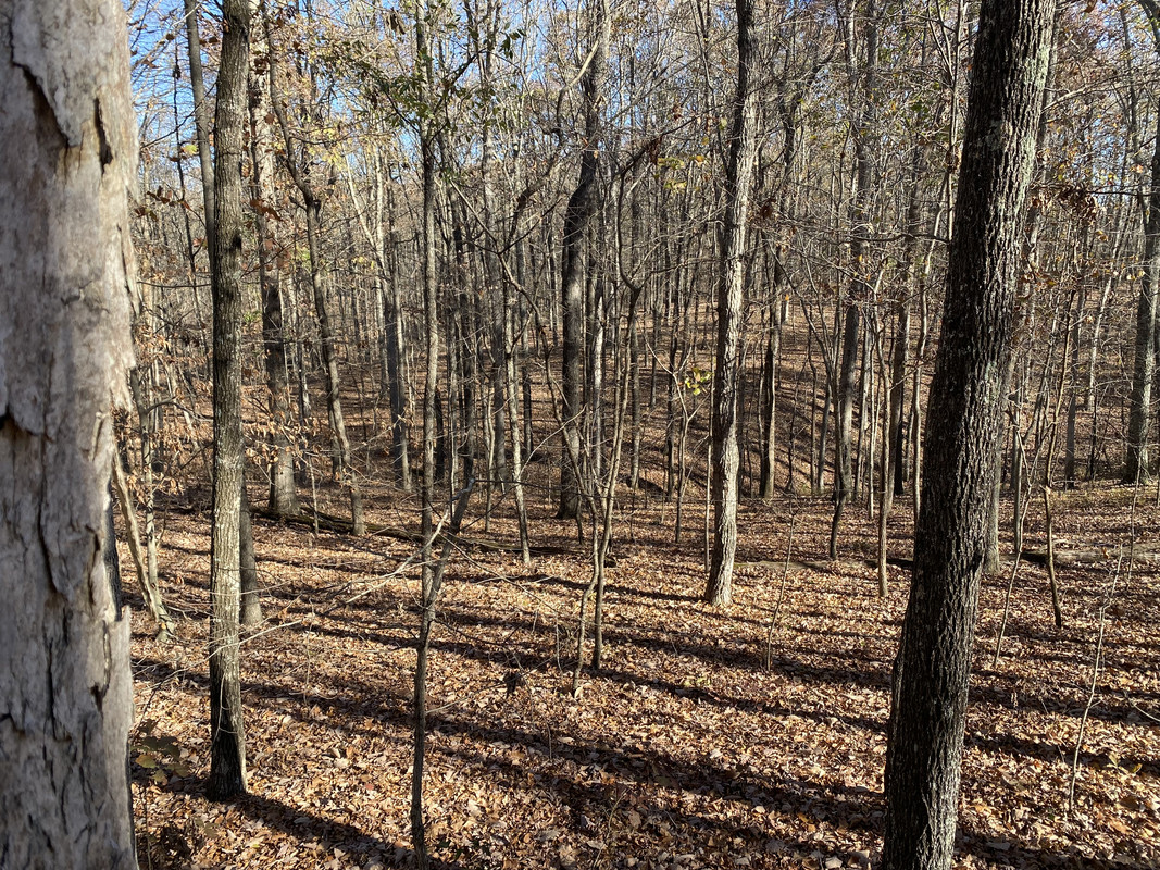 1F6994F1-9B72-458A-9900-8CF9C8FE50C3