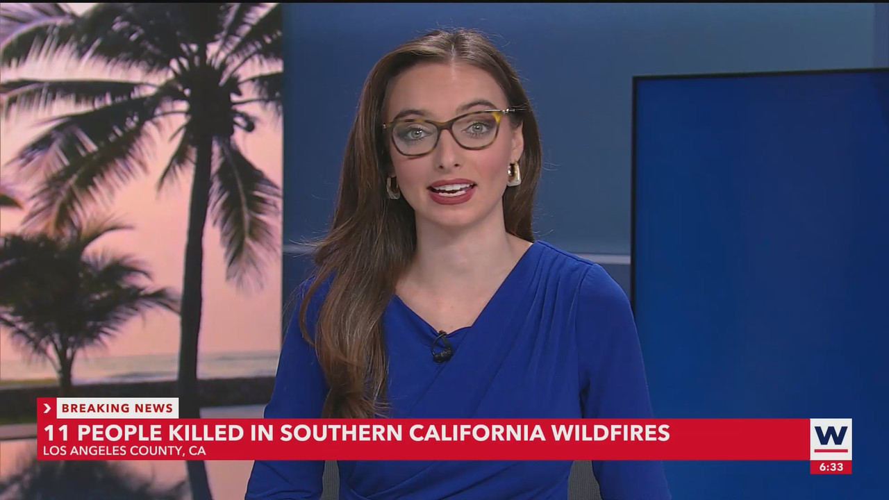 WINK NEWS at 600am Saturday_20250111_11001200.ts_snapshot_00.34.19.385