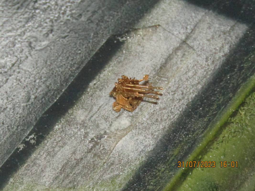 IMG 2147 — Postimages