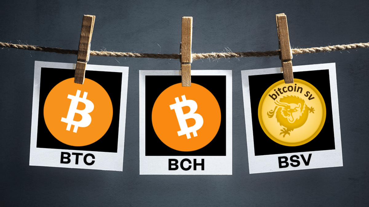 Bitcoin, Bitcoin Cash, and Bitcoin SV