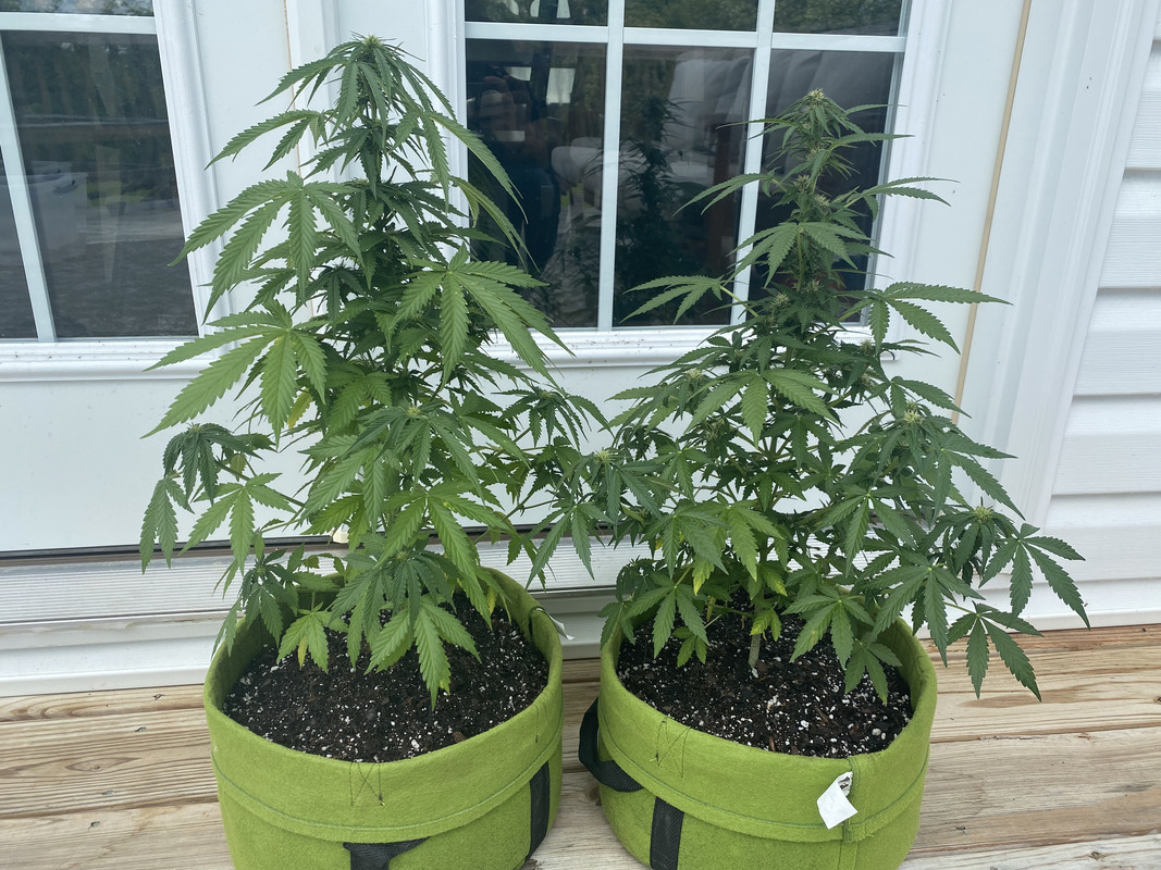 C0F17B3B-07AC-487A-9F2D-F5FAD0B55C81