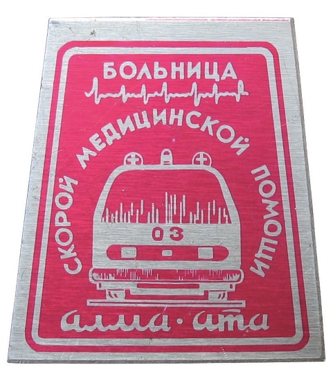 31х29