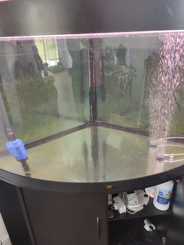 16508032129145687642456293063163