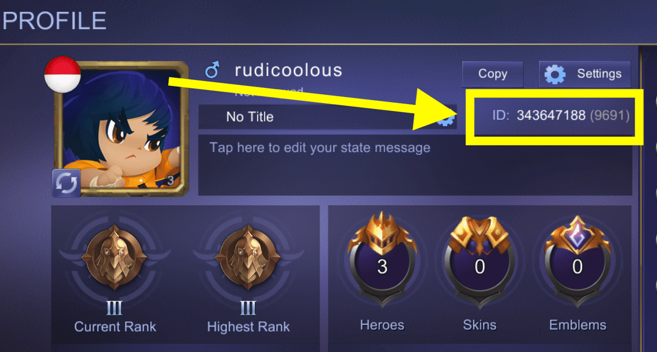 mobile legends user id
