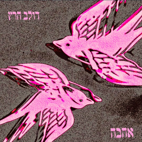 תמונה