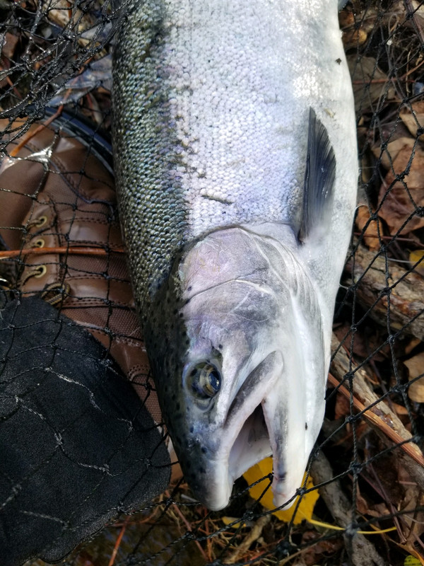 B3AA9AFD-3ADD-486F-96BD-A6D1011E4D90