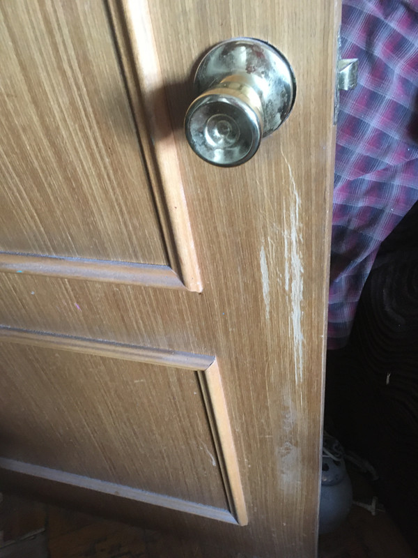 84956C22-8CDB-4238-A5E1-2664732D6F96