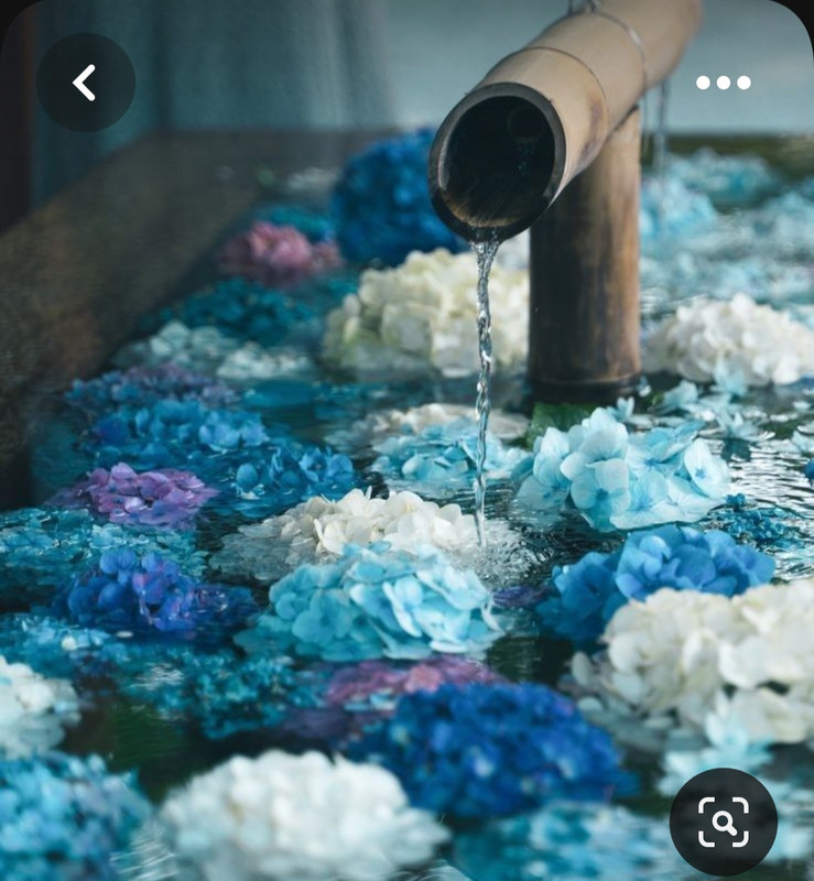 Screenshot_20230802_001800_Pinterest