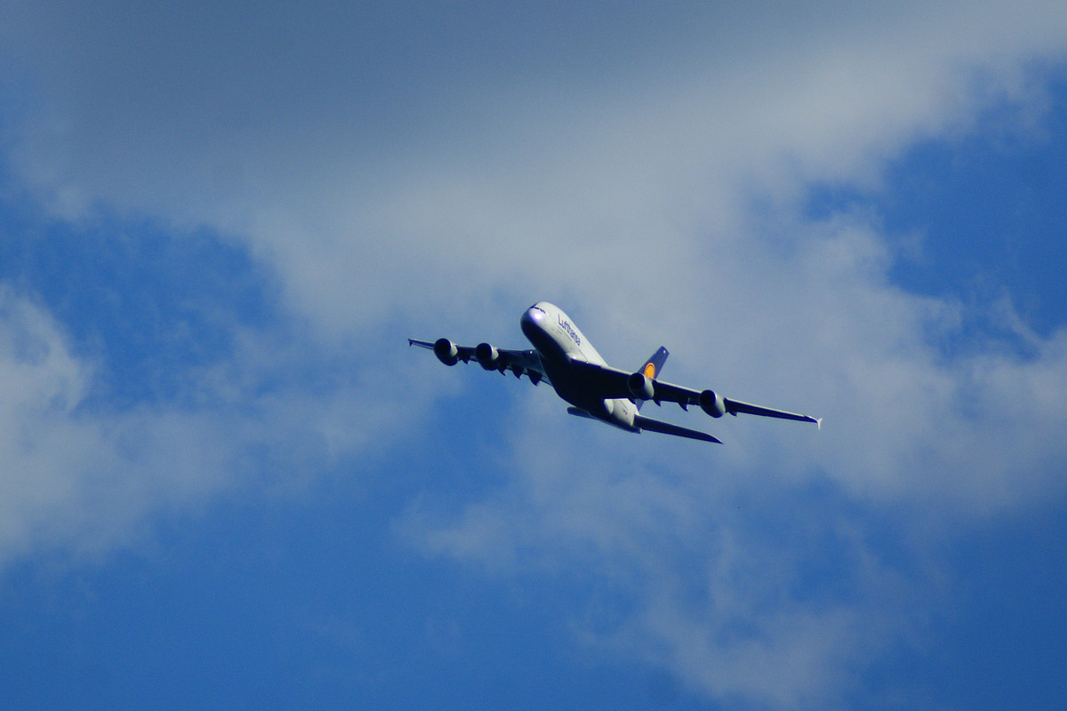 DSC02036-2.jpg