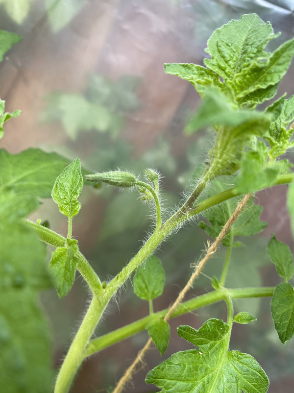 8ADBFCB4-DA21-43AA-B413-170797F1A731