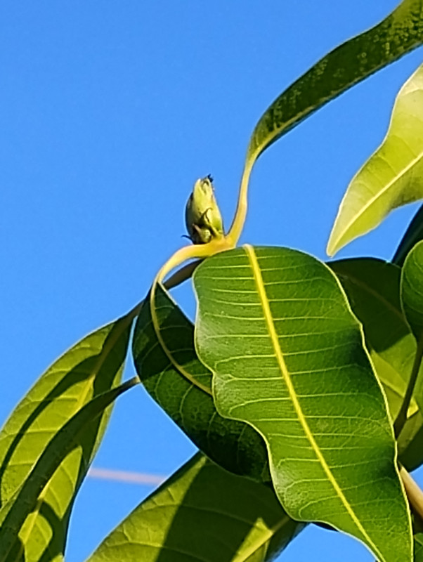 IMG 20251204 090503537