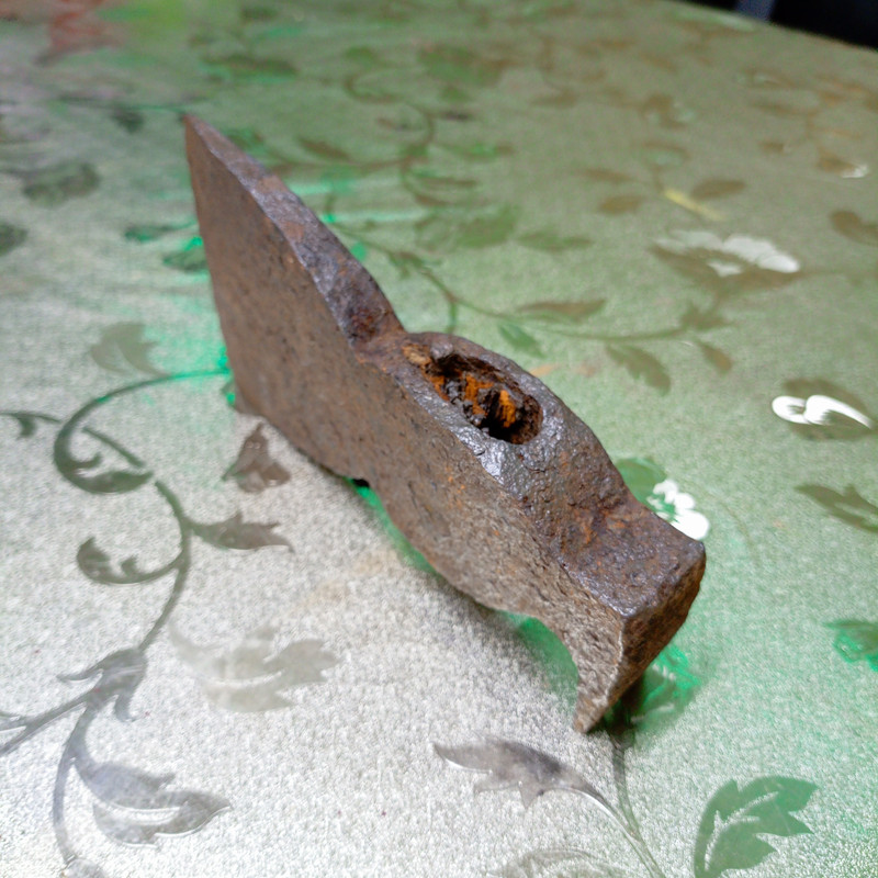 IMG_20240205_205547_280