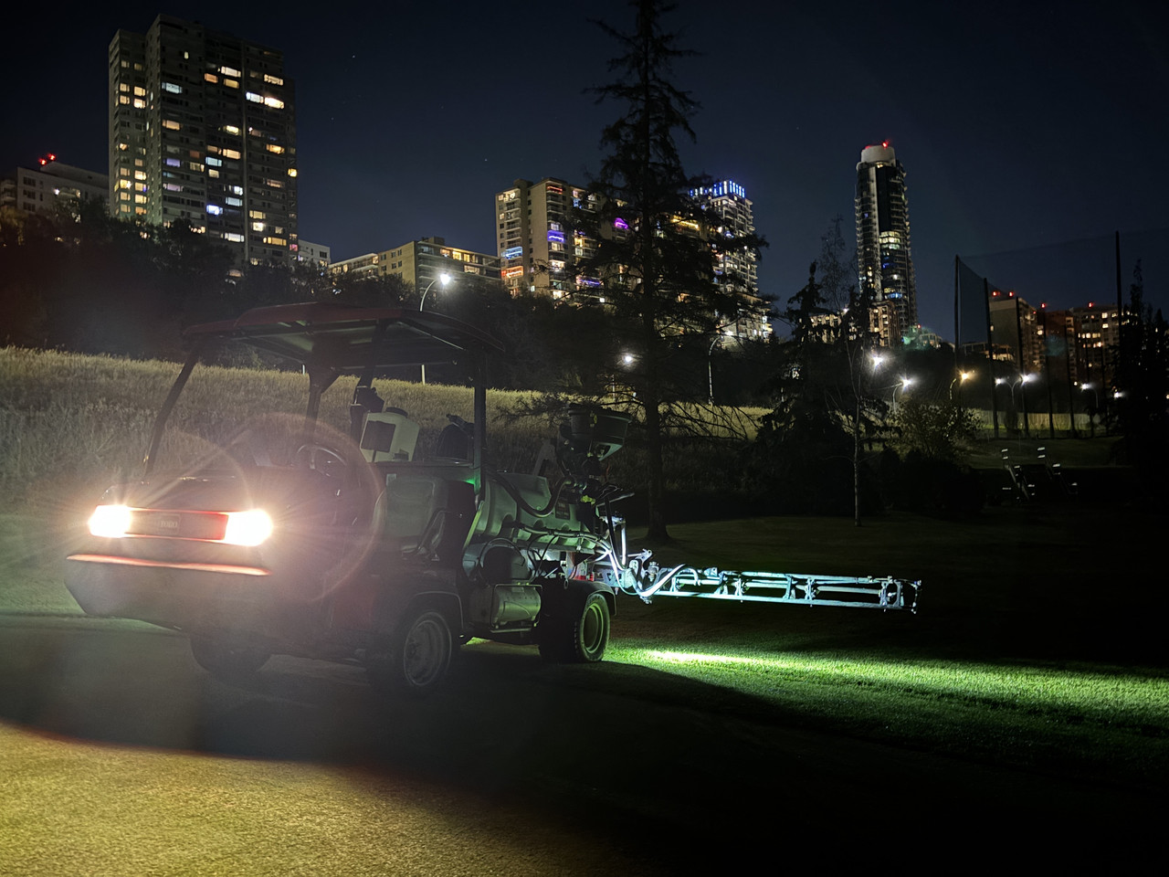 Macro close-up of healthy vibrant green grass blades