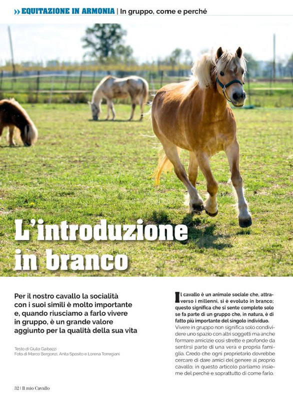 Il Mio Cav (Lug 2022) 5