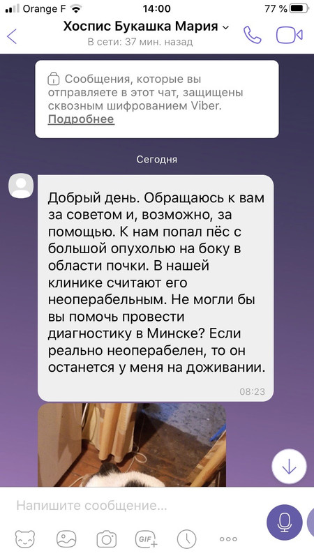 A77B6F88-C5E0-4005-8011-133C649EB567