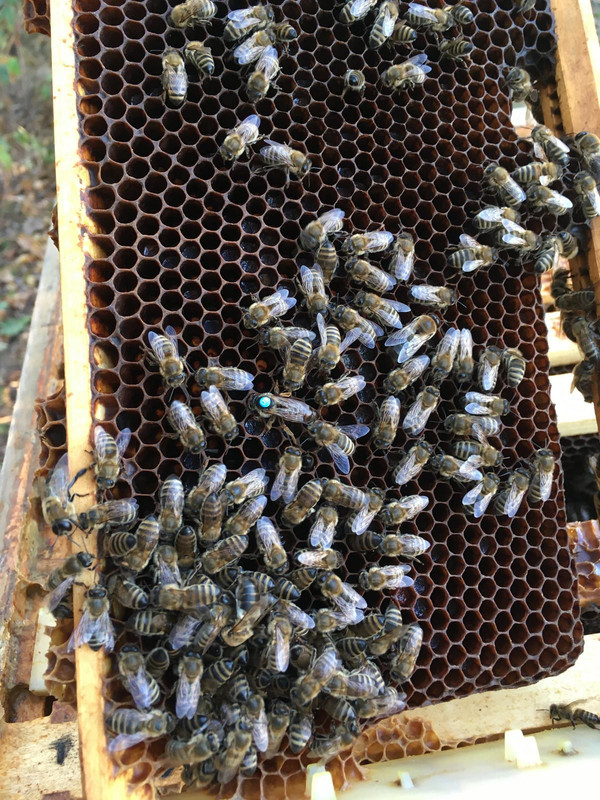 51EA7495-DB0D-4C21-9F6B-A52031BF0868